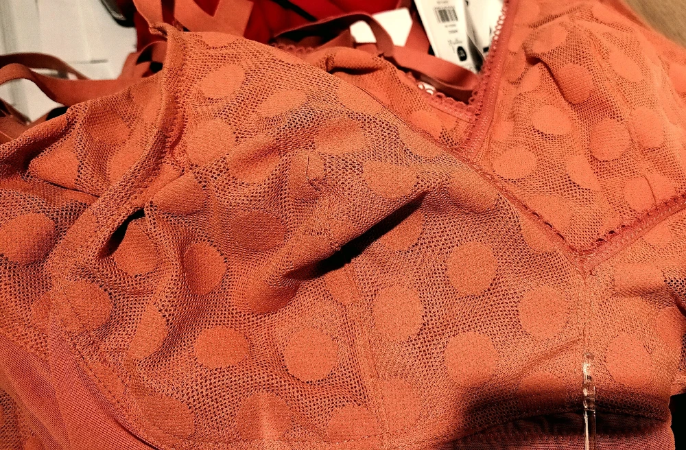 Image ajoutée par Cymoriel🦋