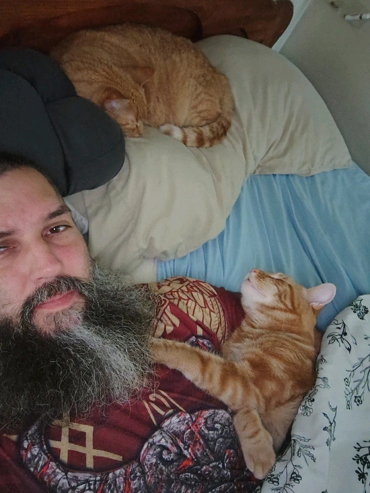 GIF diunggah dening RT