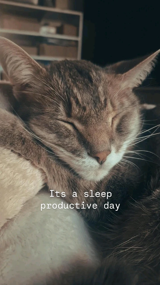 GIF diunggah dening Collin