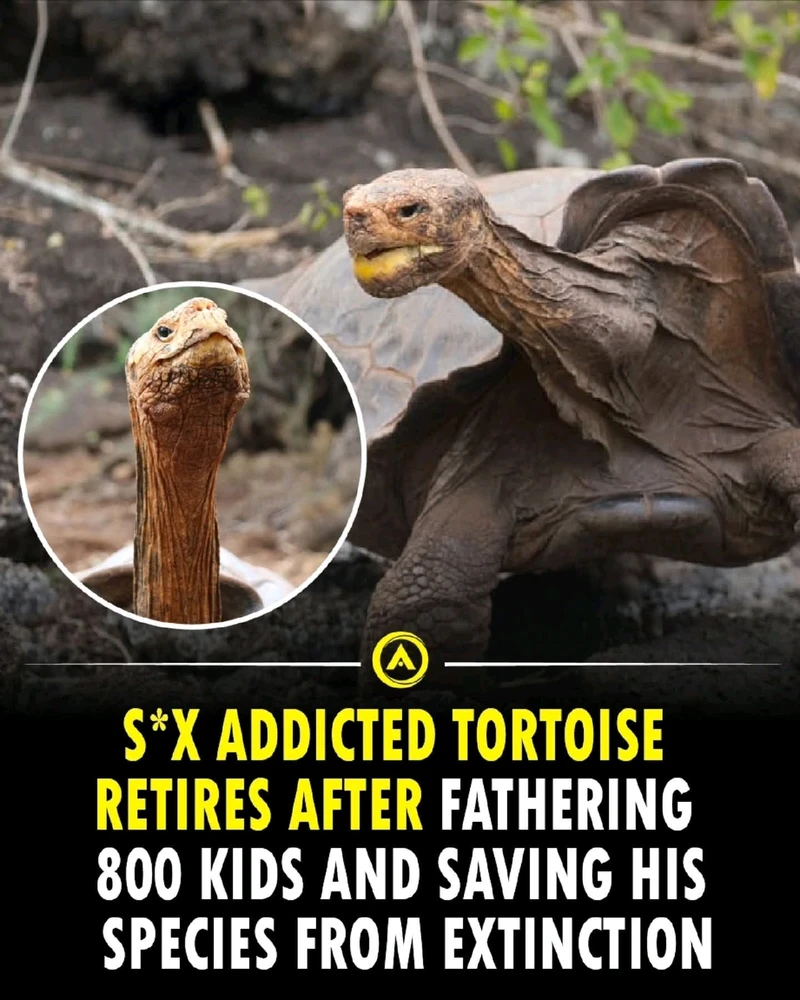 GIF uploaded by Jose