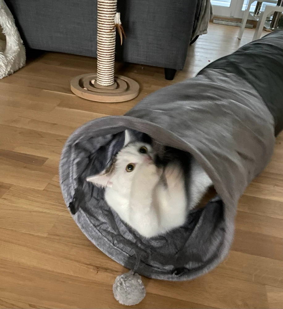 Gambar diunggah dening Alex