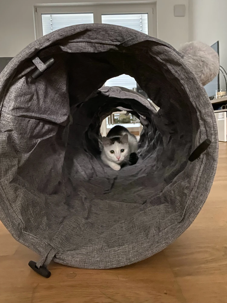 Gambar diunggah dening Alex