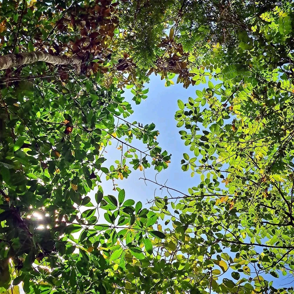 Gambar diunggah oleh Jaya