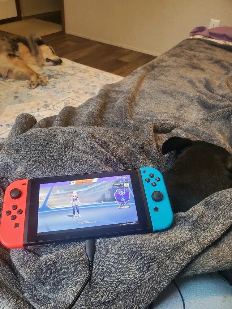 GIF uploaded by Gwenalina