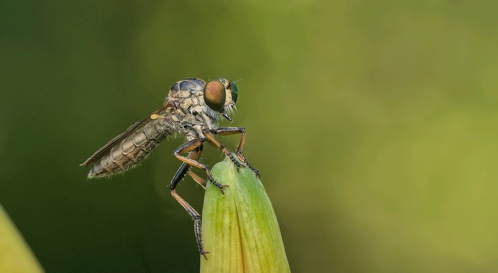 GIF uploaded by Logan