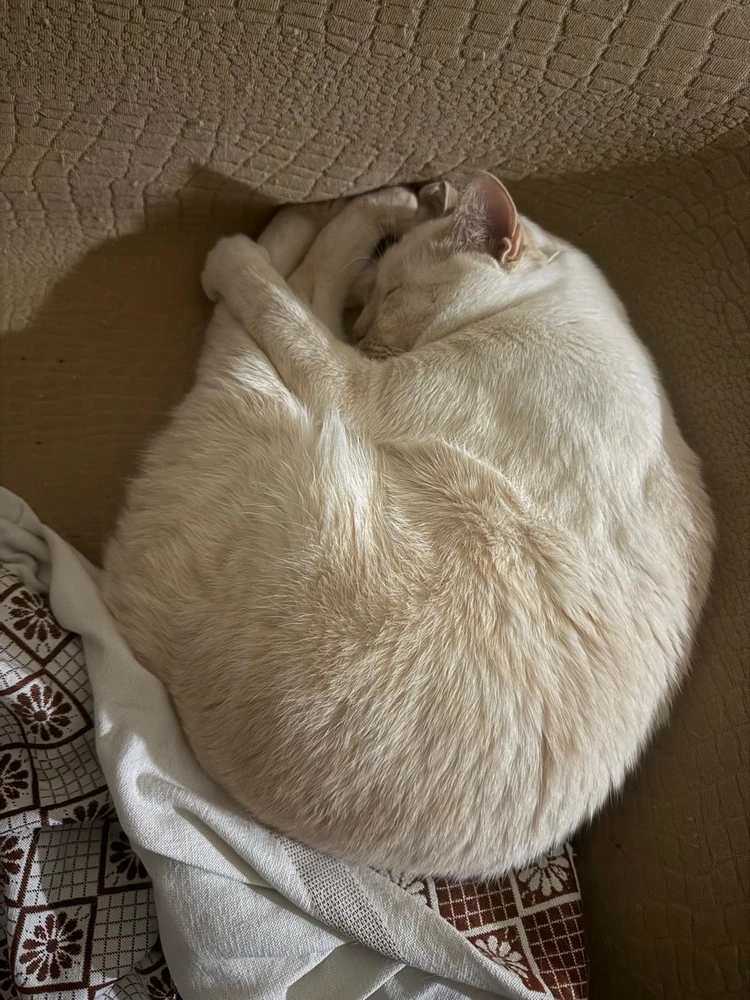 GIF caricata da Francesco