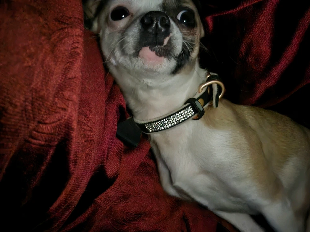 GIF uploaded by gabriella