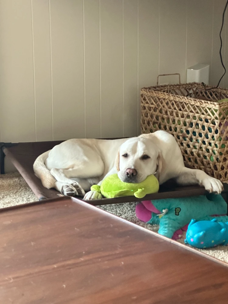 Image uploaded by Ian