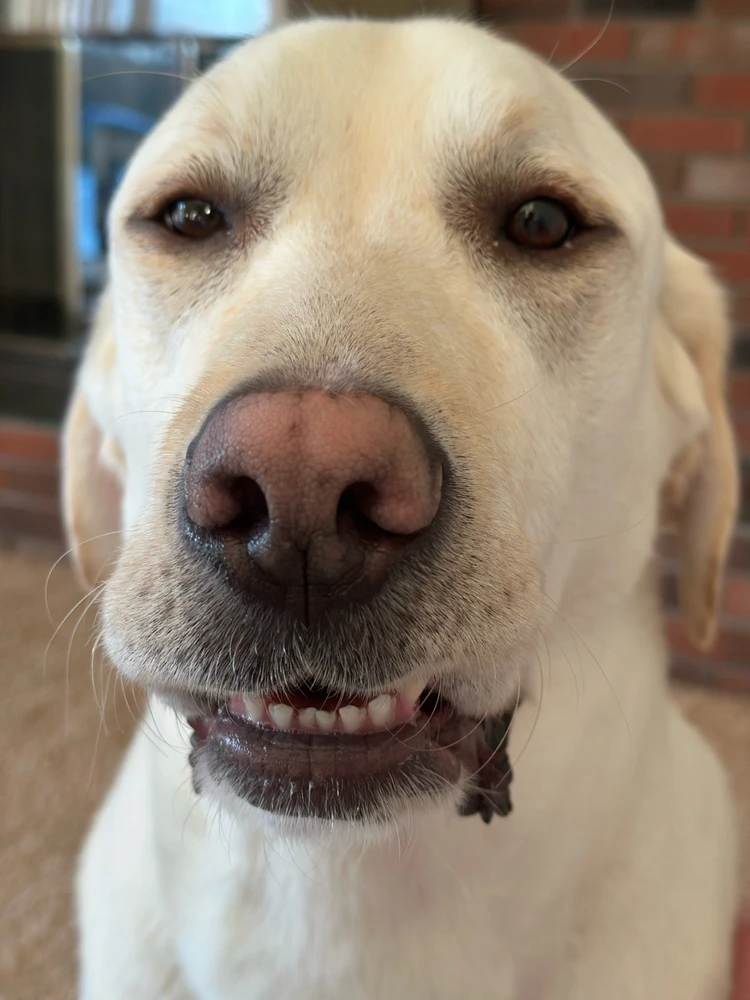 Image uploaded by Ian