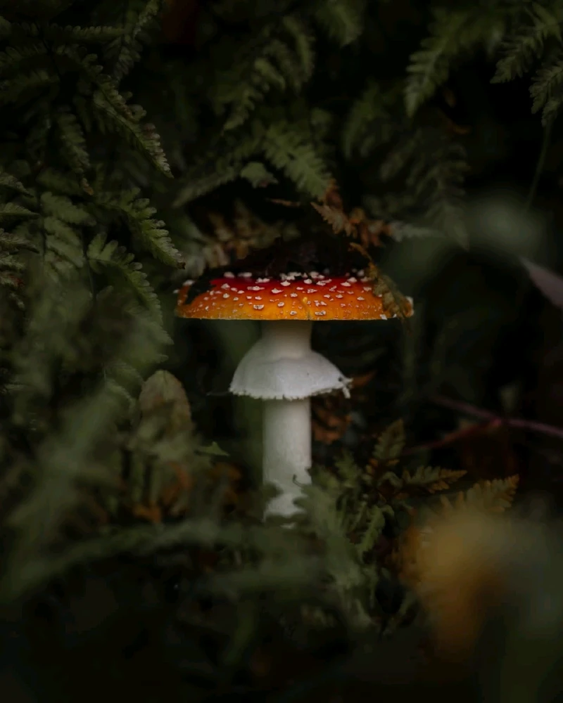 GIF uploaded by Josh