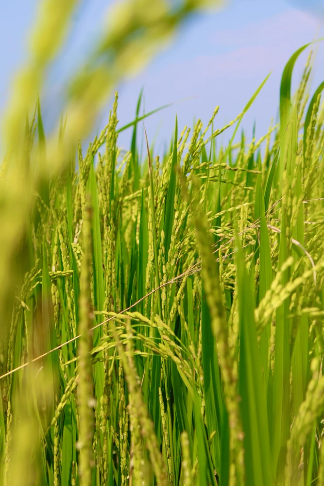 GIF uploaded by MAAN