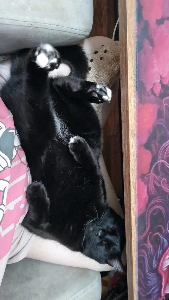 GIF diunggah dening Ecem