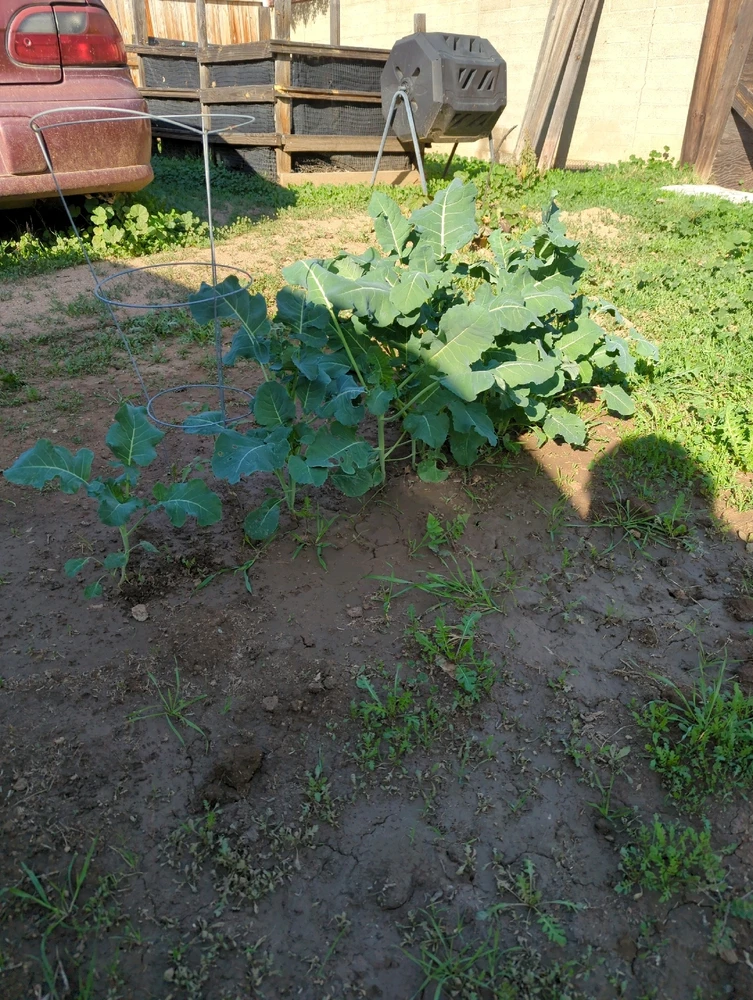 GIF uploaded by Jose