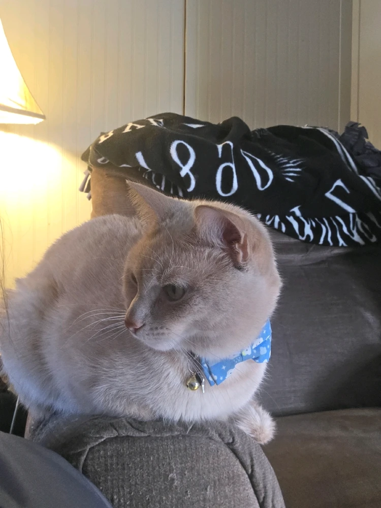 Image uploaded by Cyanne