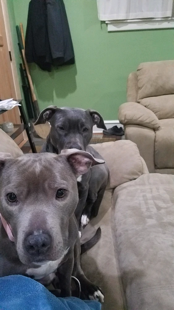 GIF uploaded by Kevin