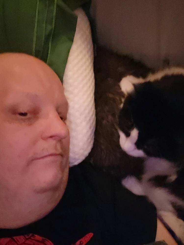 Image uploaded by Dylan