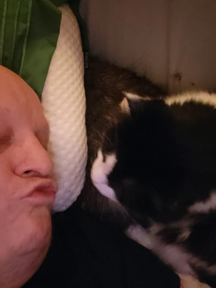 Image uploaded by Dylan