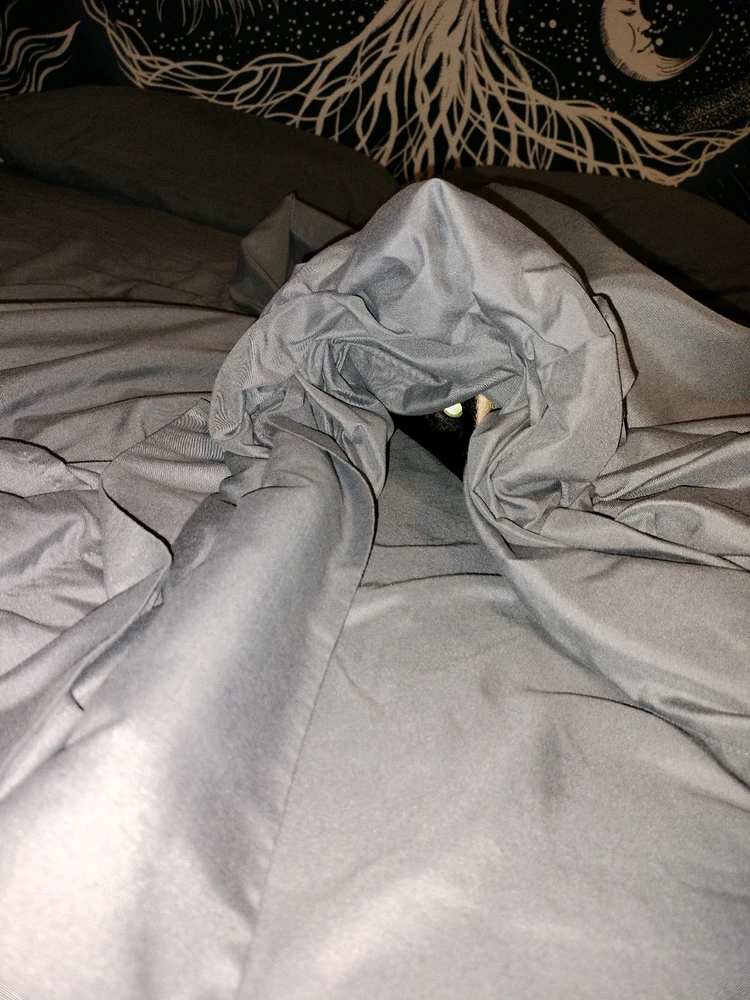 GIF uploaded by Anthony