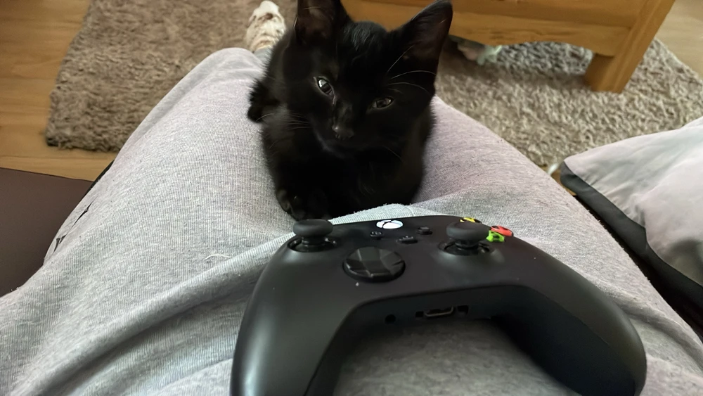 Image uploaded by Oli