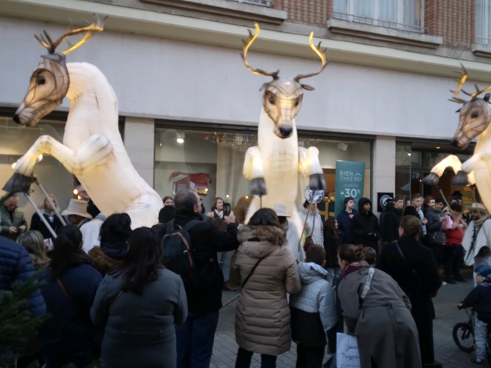 Image ajoutée par Ash