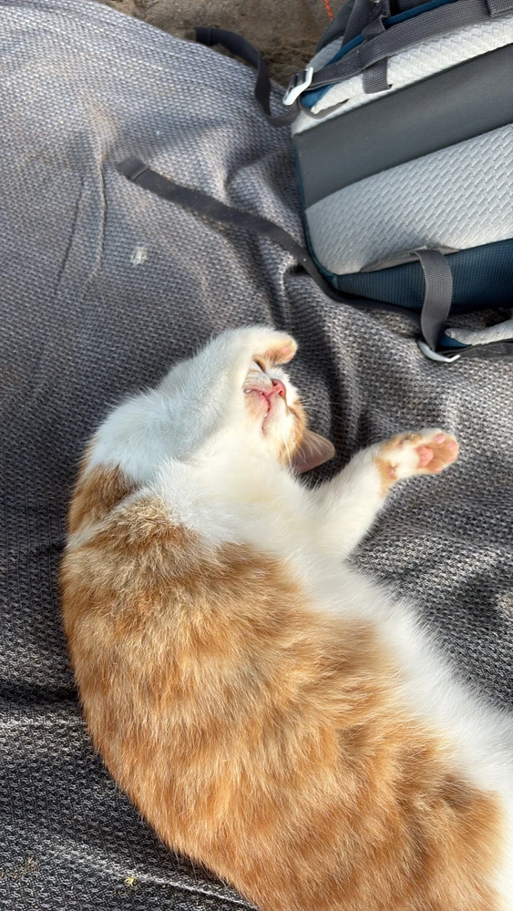 GIF uploaded by Matthew