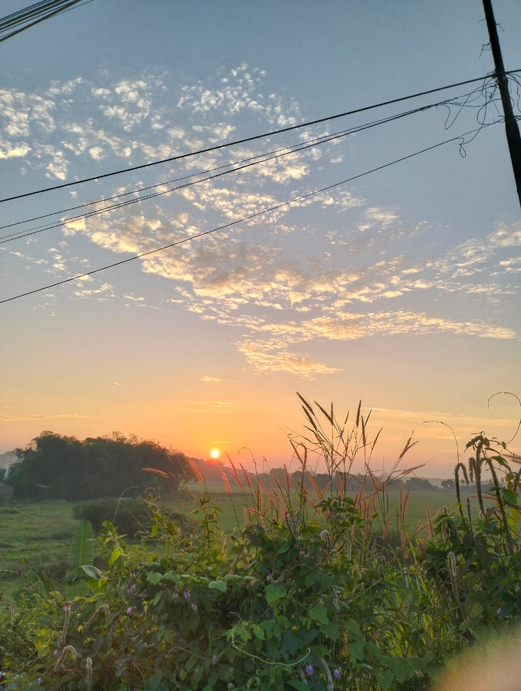 GIF diunggah oleh Er