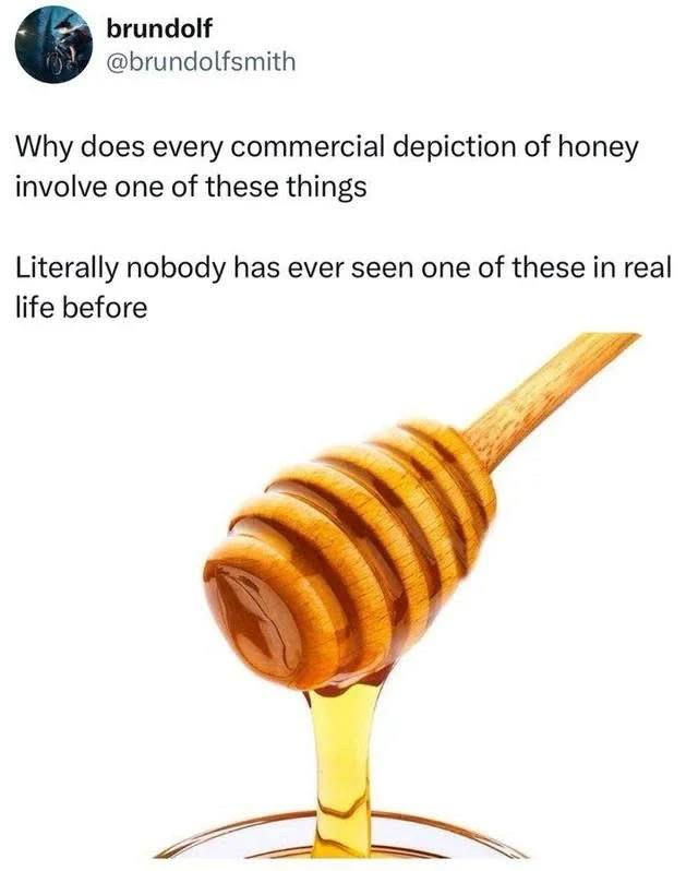 GIF uploaded by LJ ⭐️