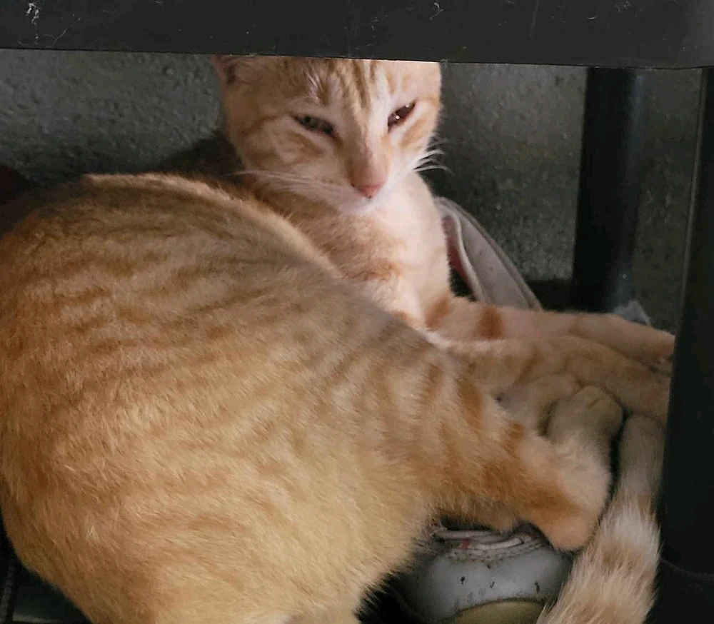 GIF uploaded by Jann