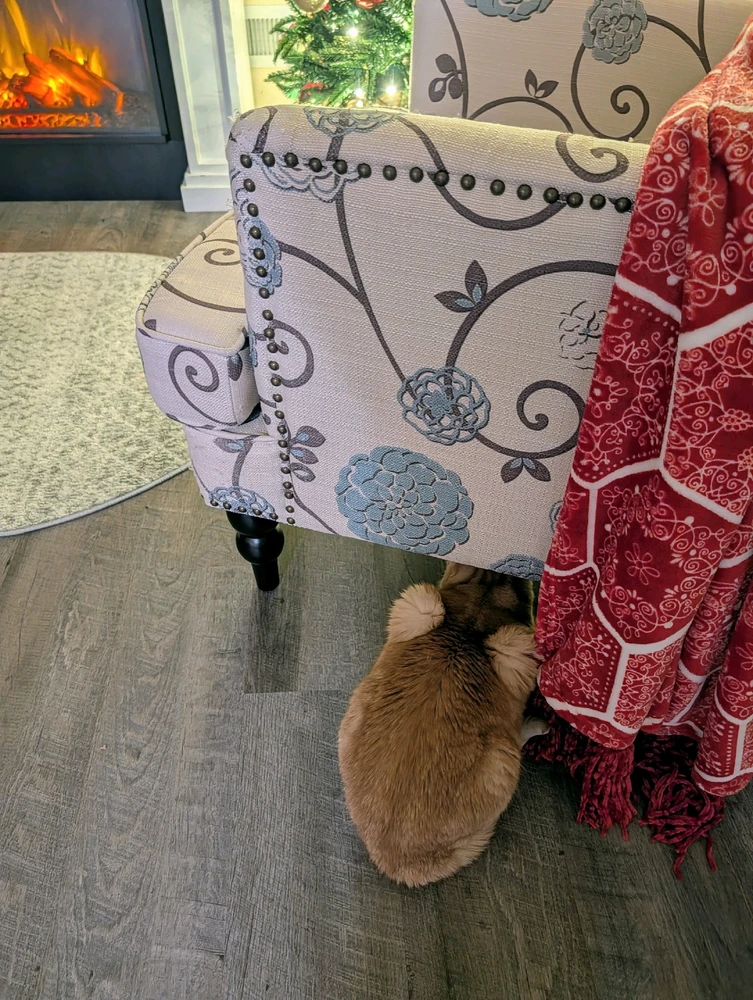 GIF uploaded by Melissa