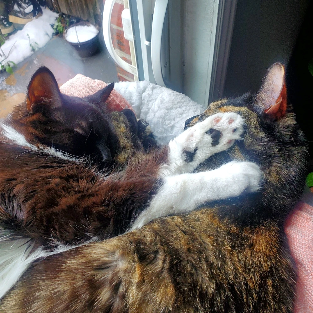 GIF uploaded by Jesse