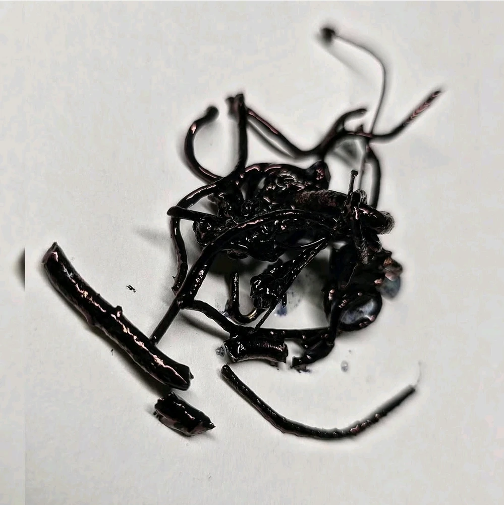 Image uploaded by Tarik