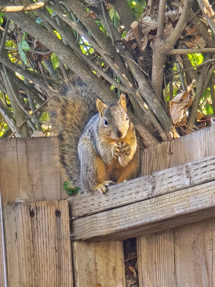 Image uploaded by William