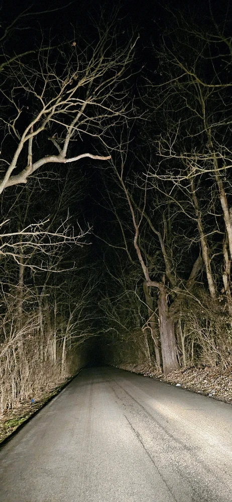 GIF uploaded by Phoebe