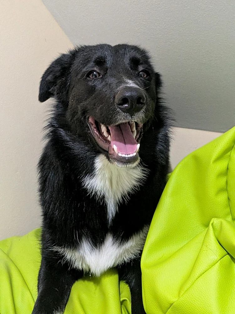 GIF uploaded by Patrik