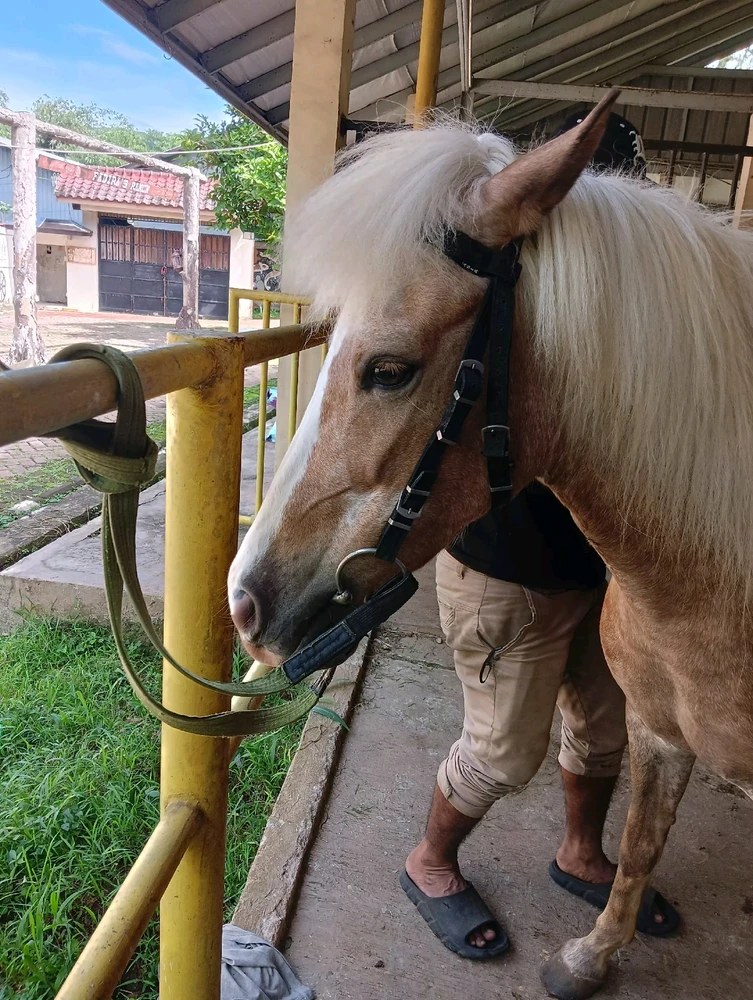 Image uploaded by Rara