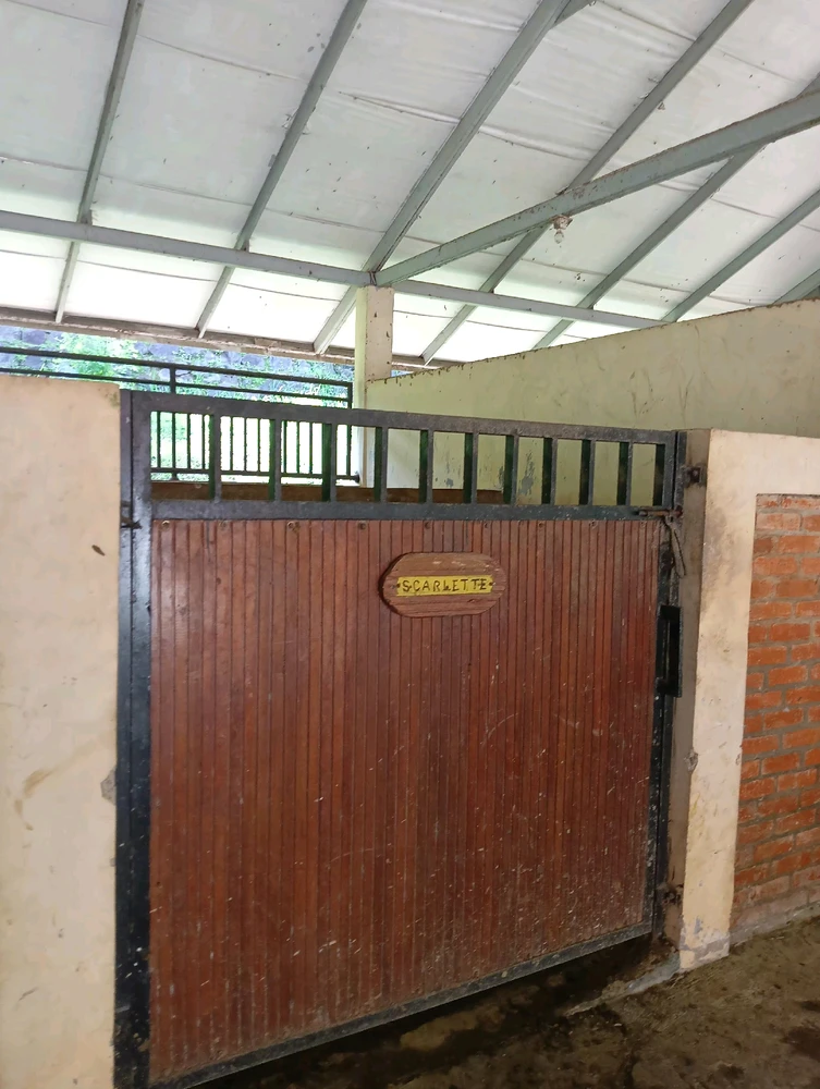 Image uploaded by Rara