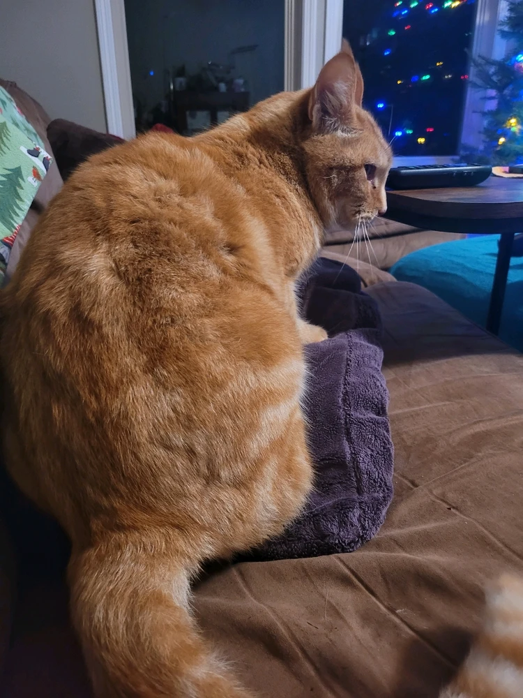 GIF diunggah dening Joe