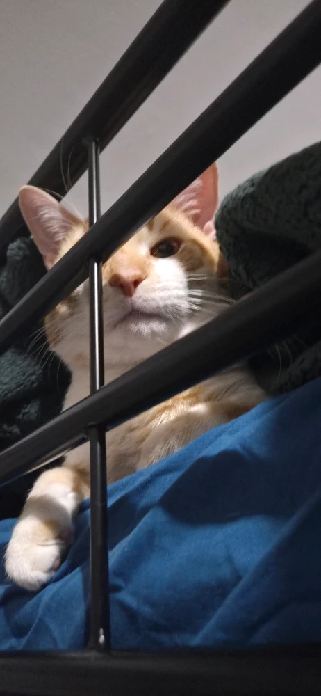 GIF diunggah dening Karla