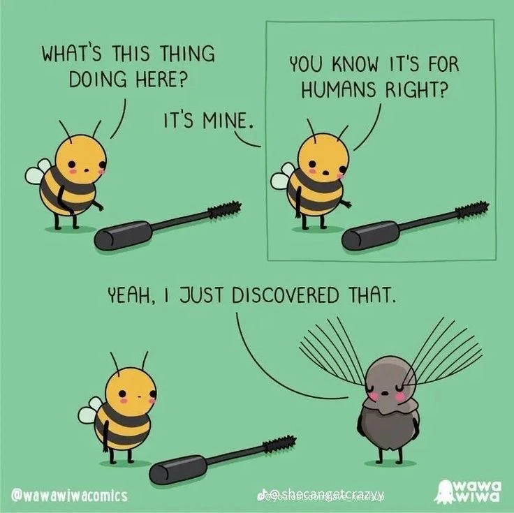 GIF uploaded by Mademoiselle Amy