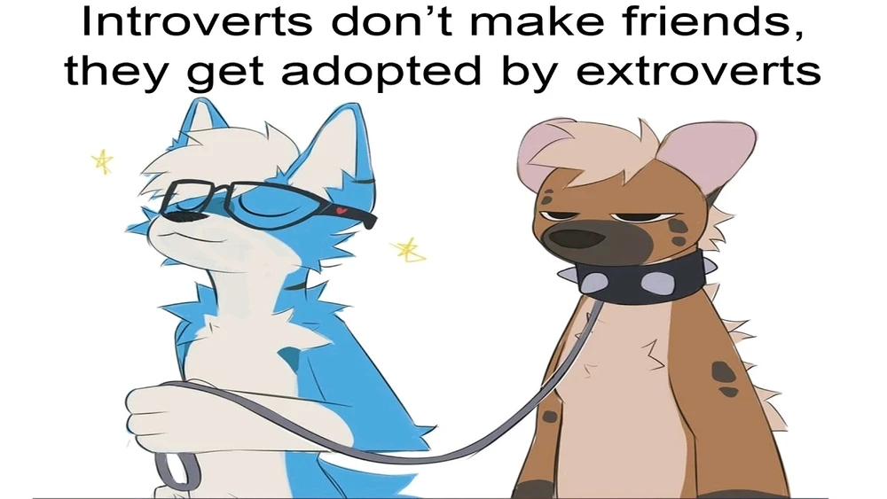 GIF uploaded by Molly