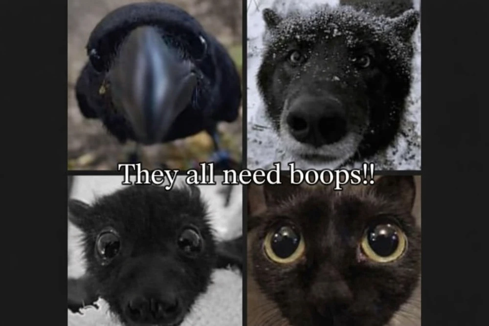 GIF uploaded by 🌙✨ℳℯ𝓁𝒶𝓃𝒾𝓆𝓊ℯ✨🌙