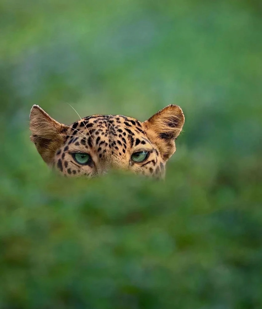 Image uploaded by Olga