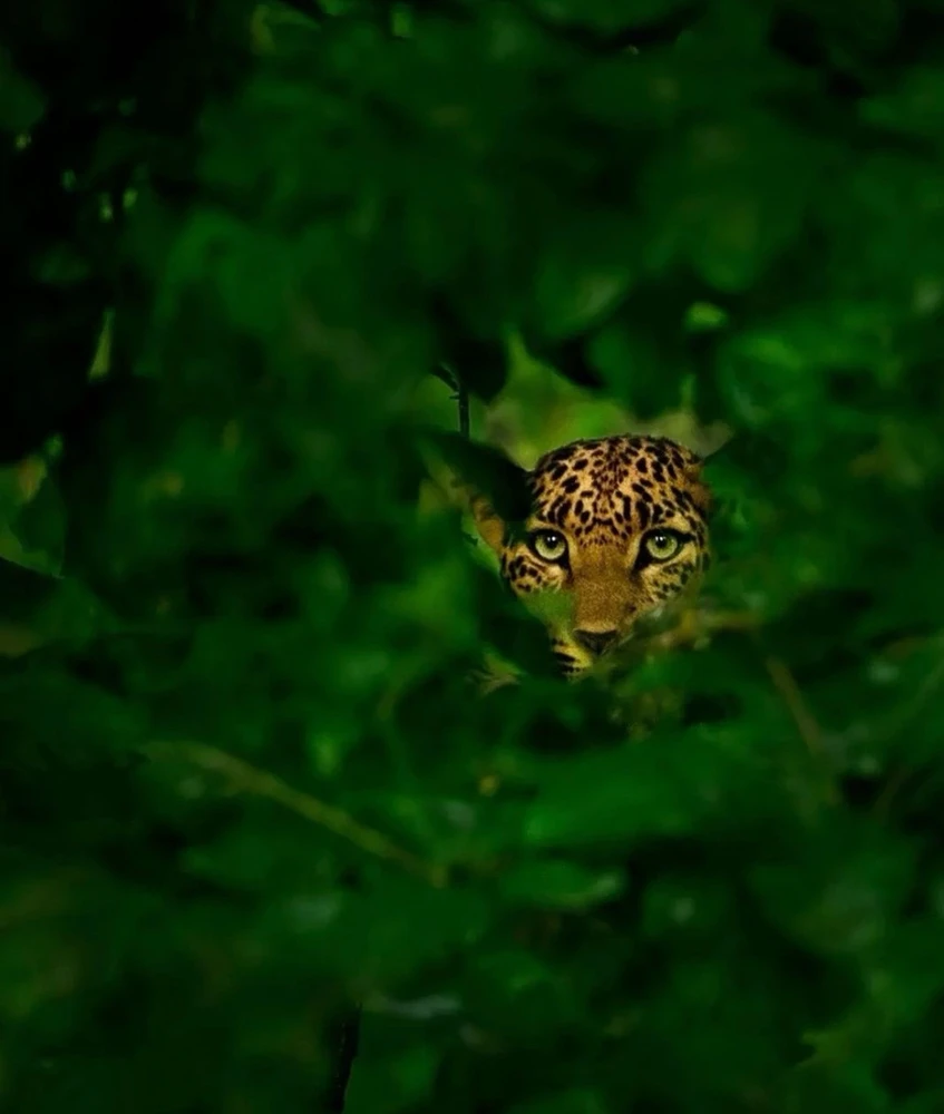 Image uploaded by Olga