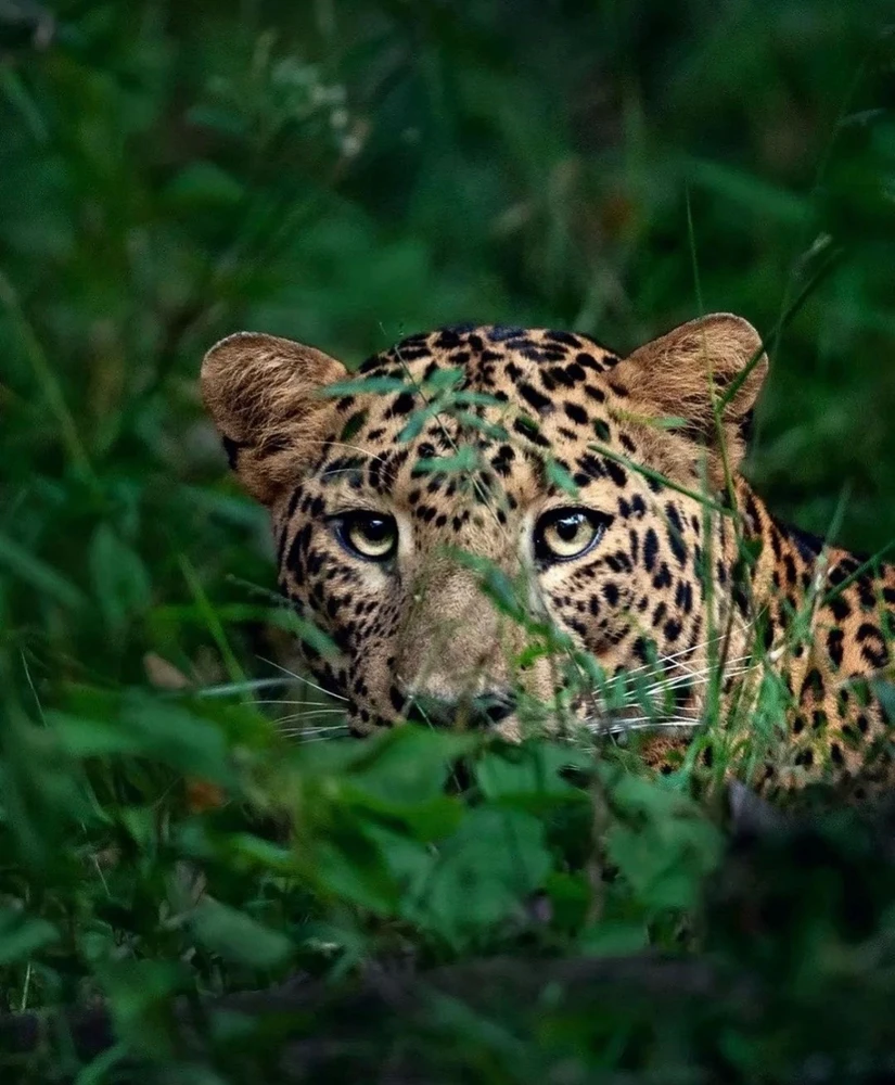 Image uploaded by Olga