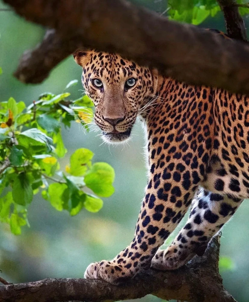 Image uploaded by Olga