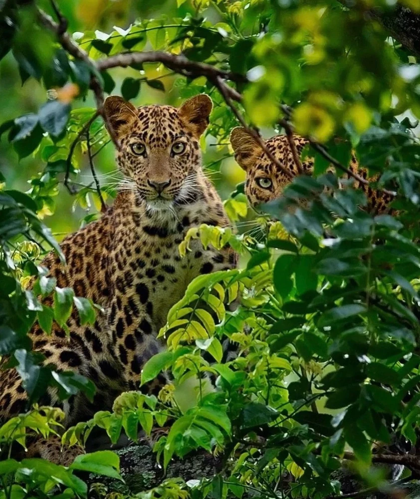 Image uploaded by Olga