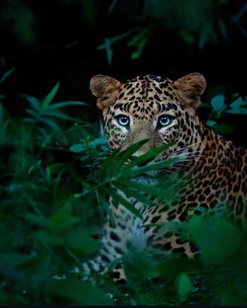 Image uploaded by Olga