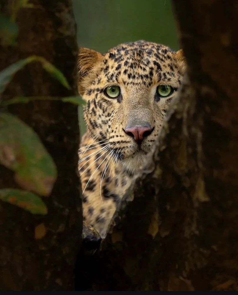 Image uploaded by Olga