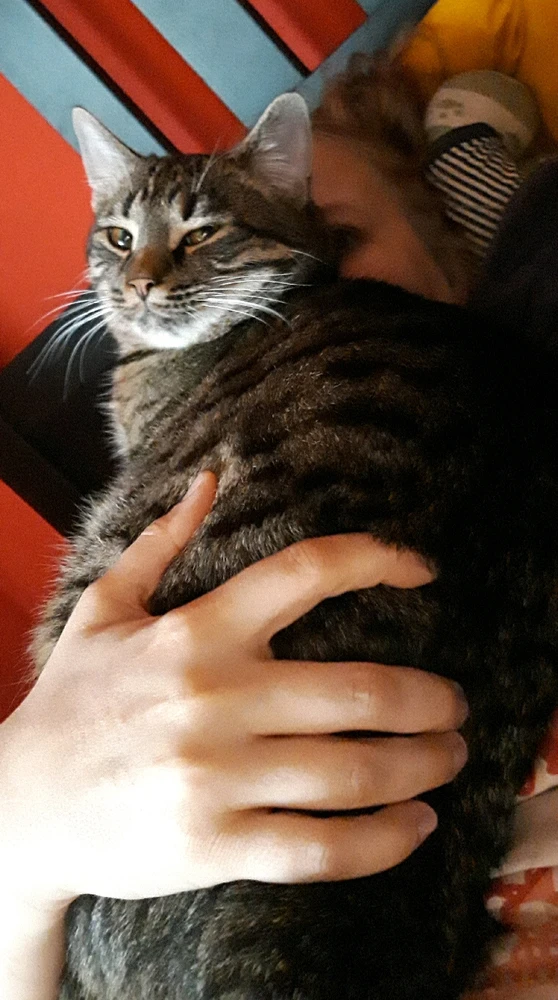 GIF hochgeladen von Marron