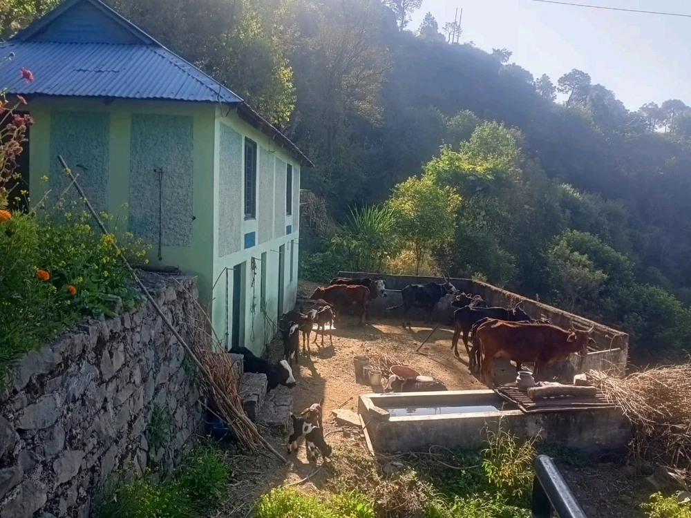 Image uploaded by Nikita